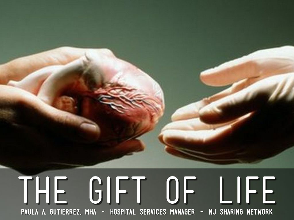a look at the recent medical advancements in organs transplant a look at the recent medical advancements in organs transplant