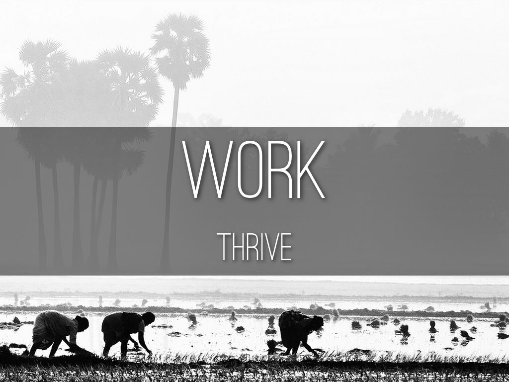 THRIVE - WORK