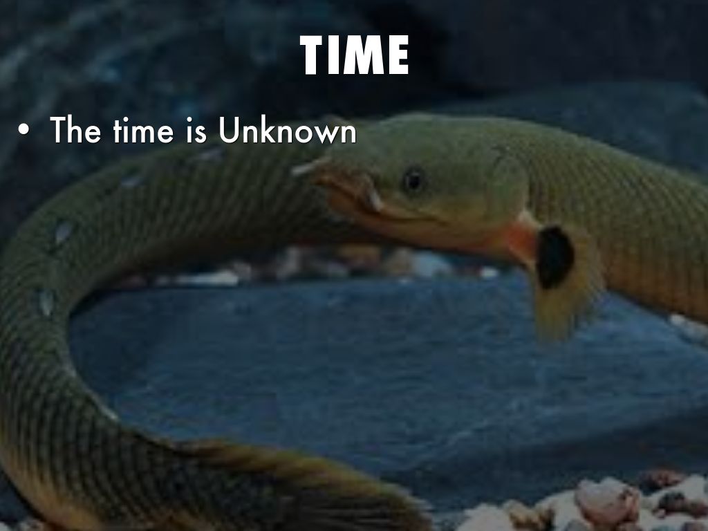 Rope Fish by alinthealien