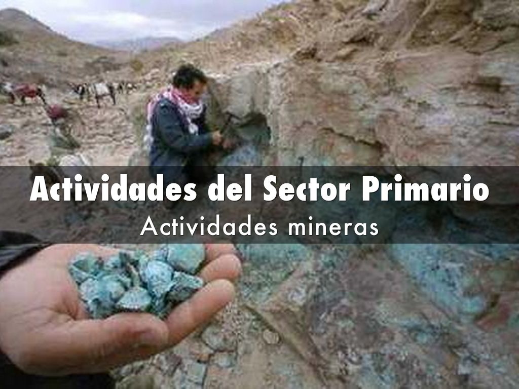 Copy of Actividades del Sector Primario