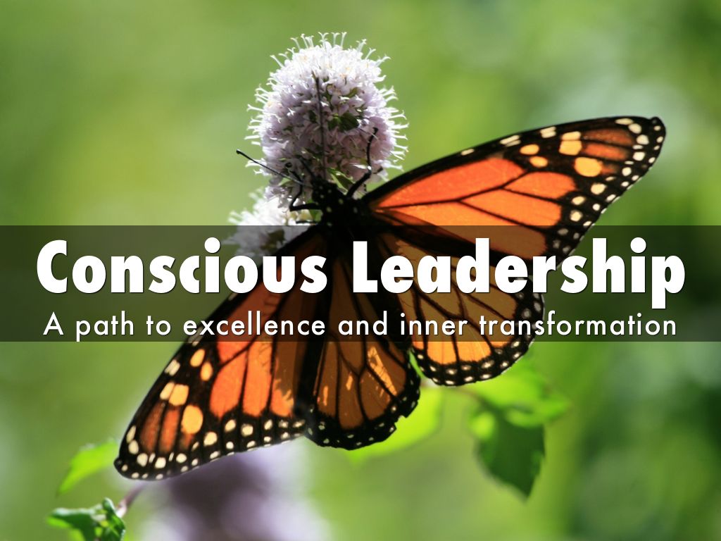 Conscious Leadership