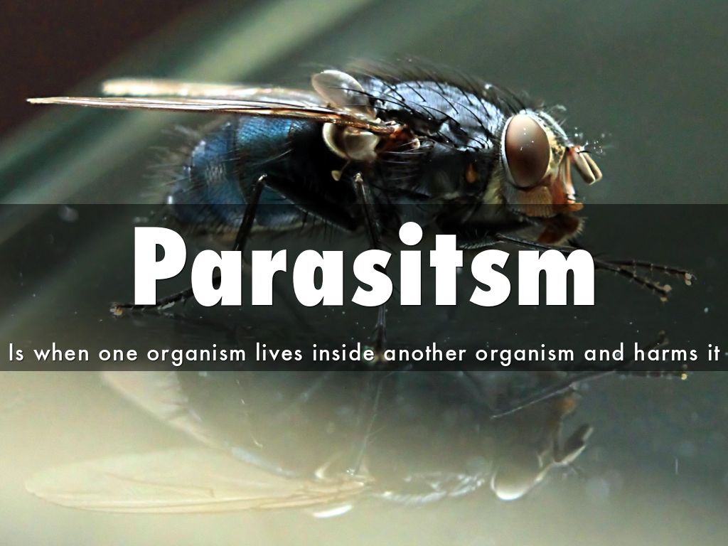 Parasitsm