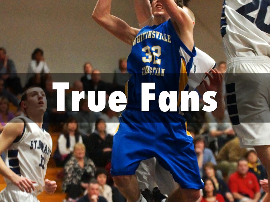 True Fans