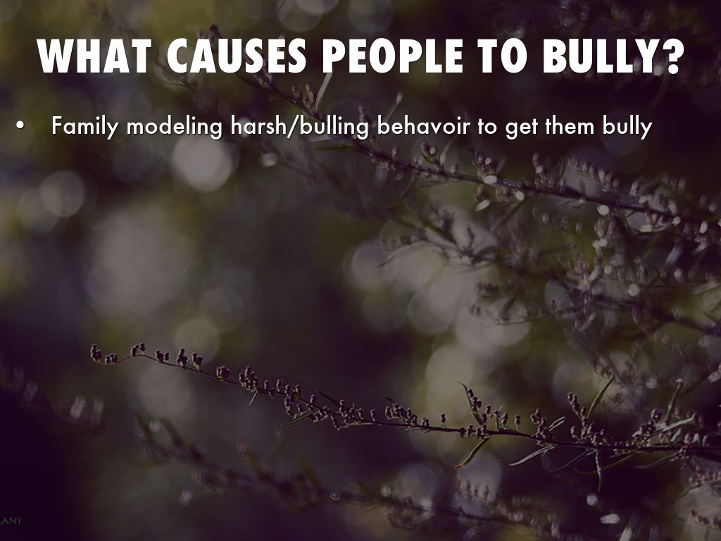 what causes people to bully?