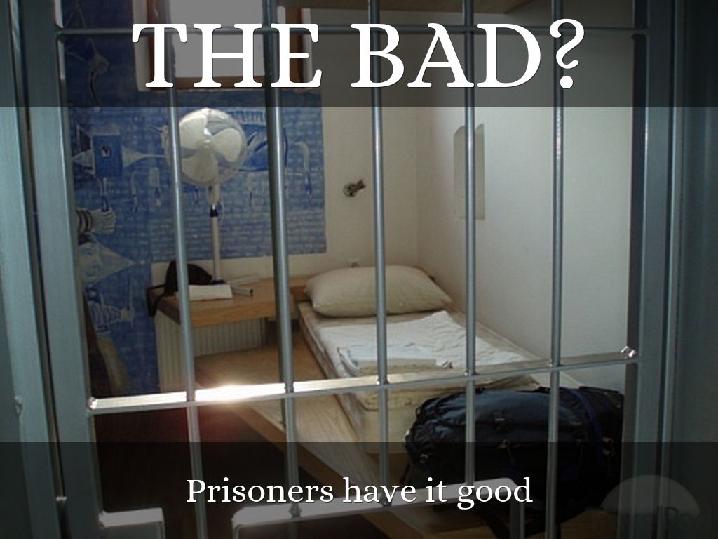 Animals should be in cages by haalvin97