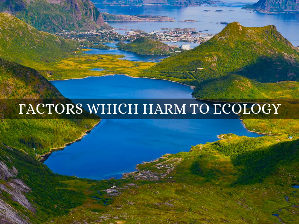 factors which harm to ecology