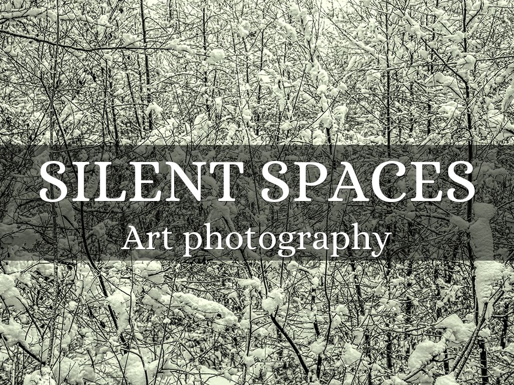 SILENT SPACES
