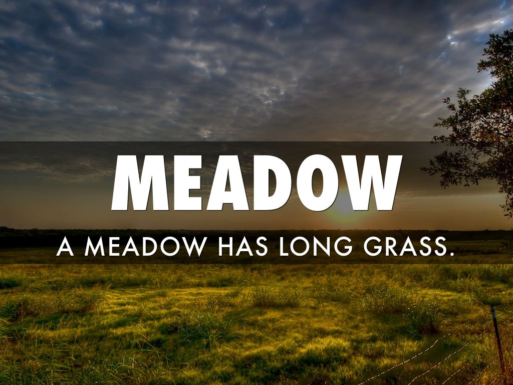 Spelling Words Hour 4 by Adrianna David