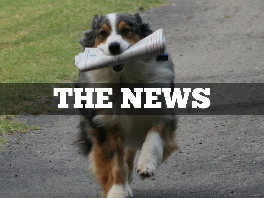 THE NEWS