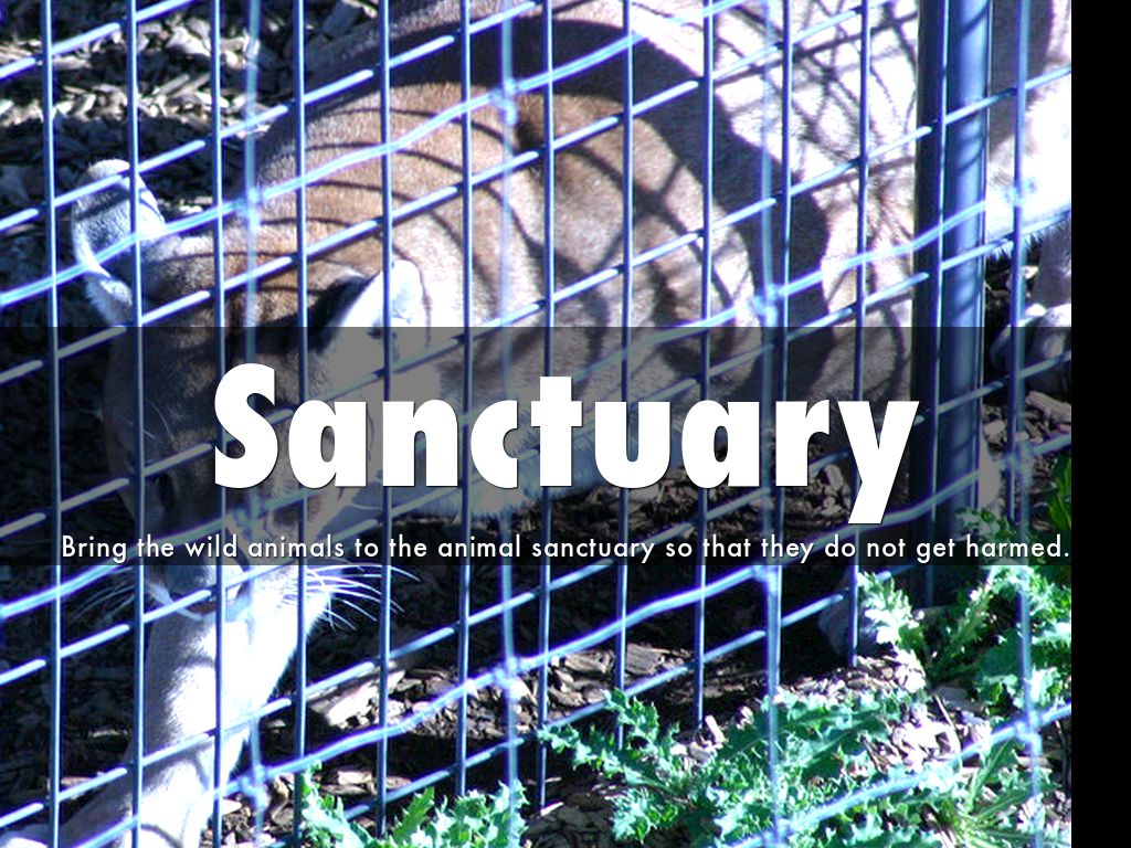 Sanctuary