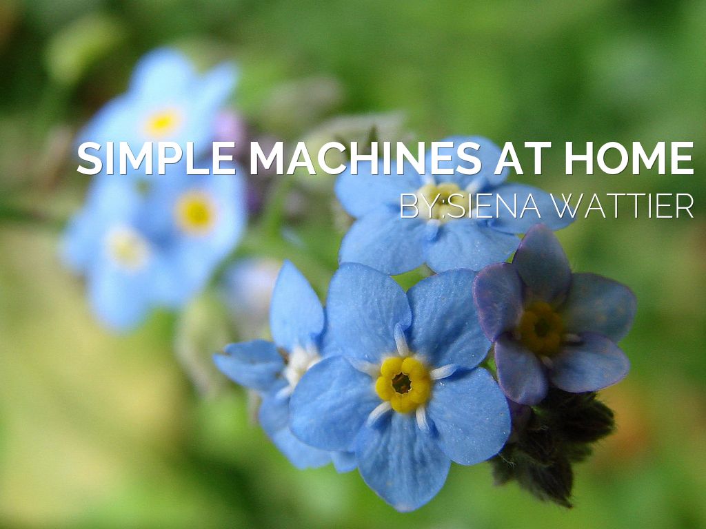 Simple Machines At Home