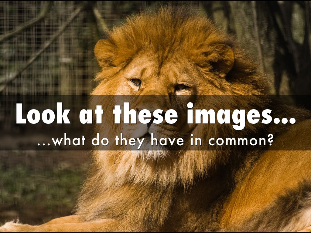 Look at these images...