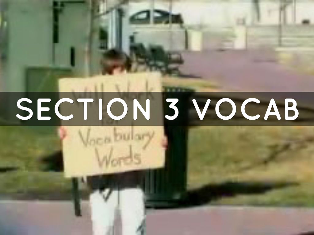 Section 3 vocab