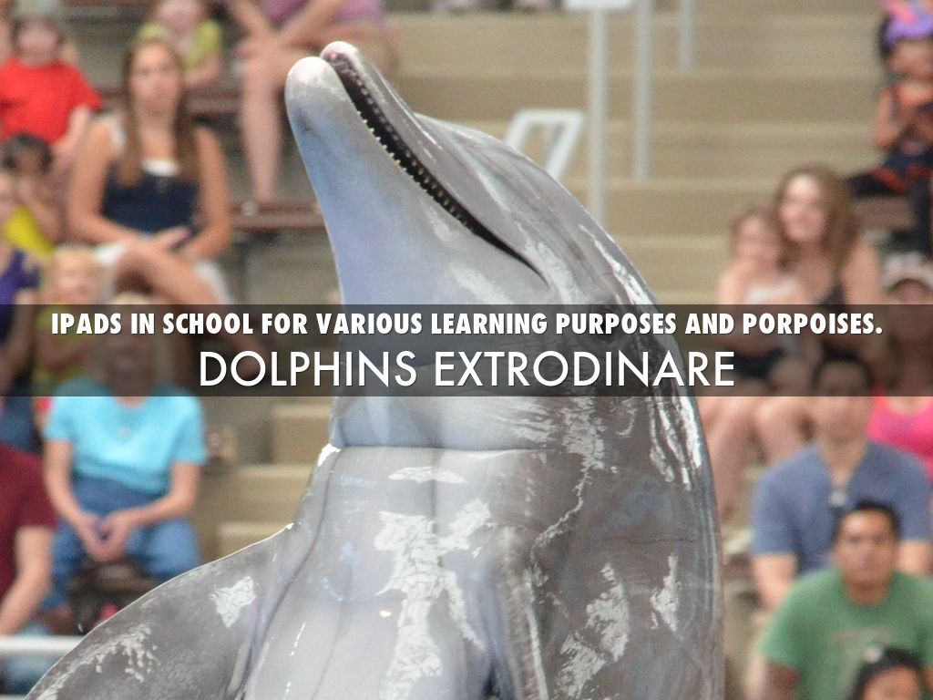 IPADS IN SCHOOL FOR VARIOUS LEARNING PURPOSES AND PORPOISES.