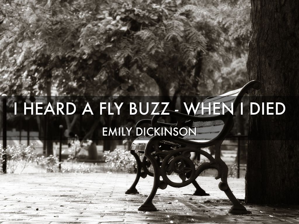 I heard a fly buzz when i died by sanskriti bajaj