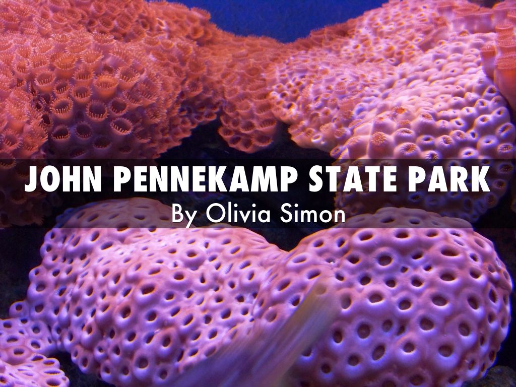 john pennekamp state park