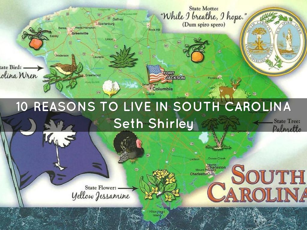 10 reasons to live in south carolina by jdcseshirley