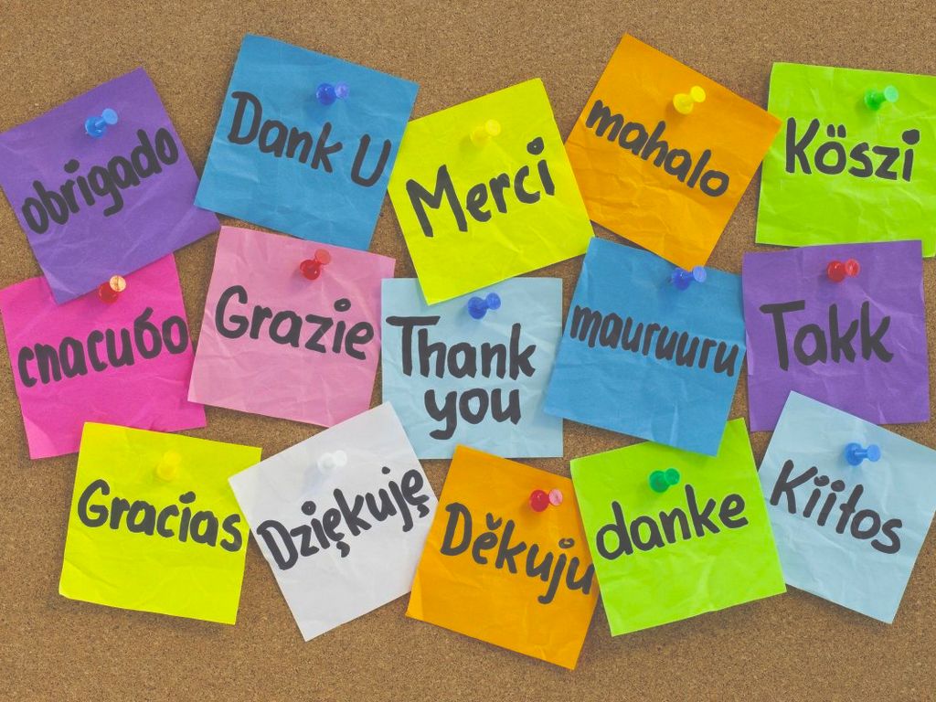 Analisis de Calidad y Fragilidad Visual del Paisaje Mediante Técnicas de Evaluación Multicriterio (EMC) para la determinación de la degradación del paisaje, para el área de investigación comprendida por las microcuencas de los ríos Cristal, Potosí, Balsas y Pechiche.