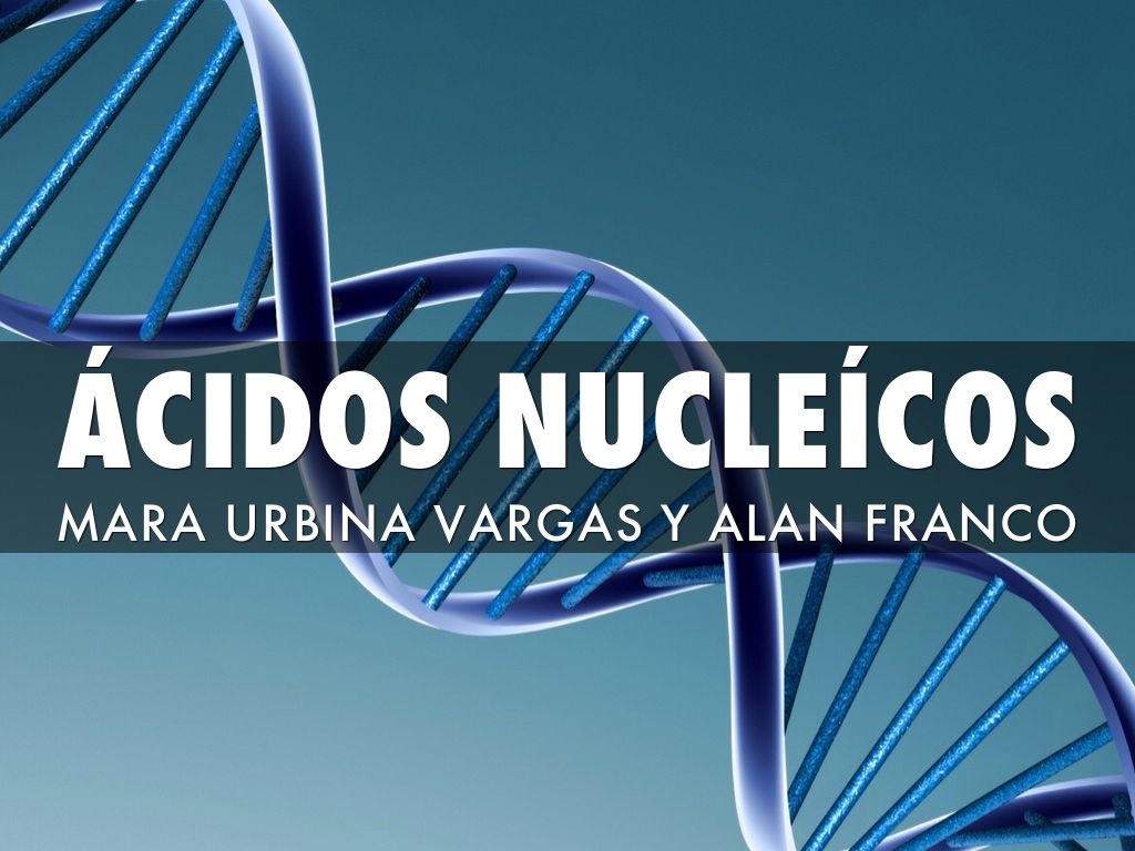 Copy of Ácidos Nucleícos