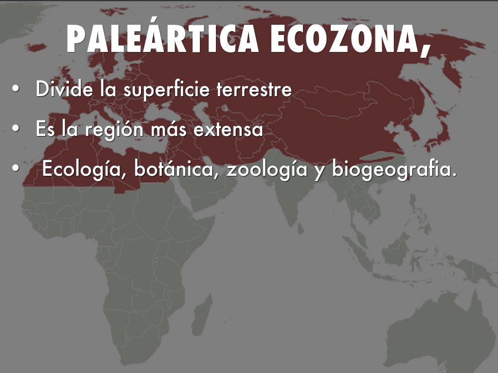 paleártica ecozona,