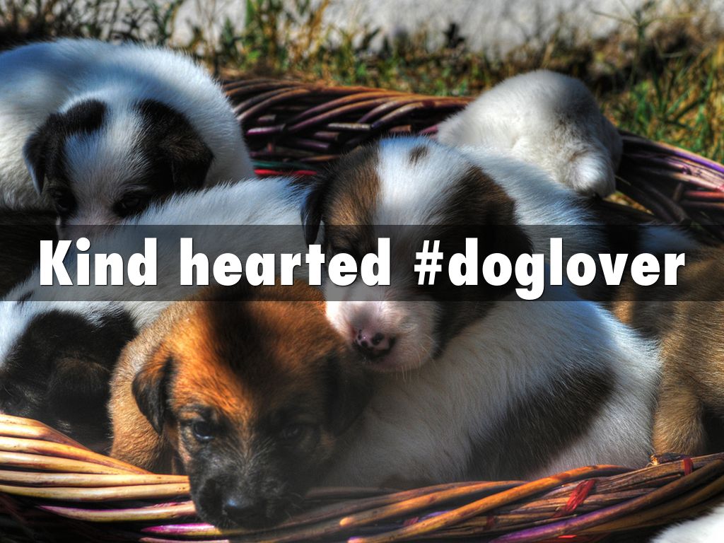 Kind hearted #doglover