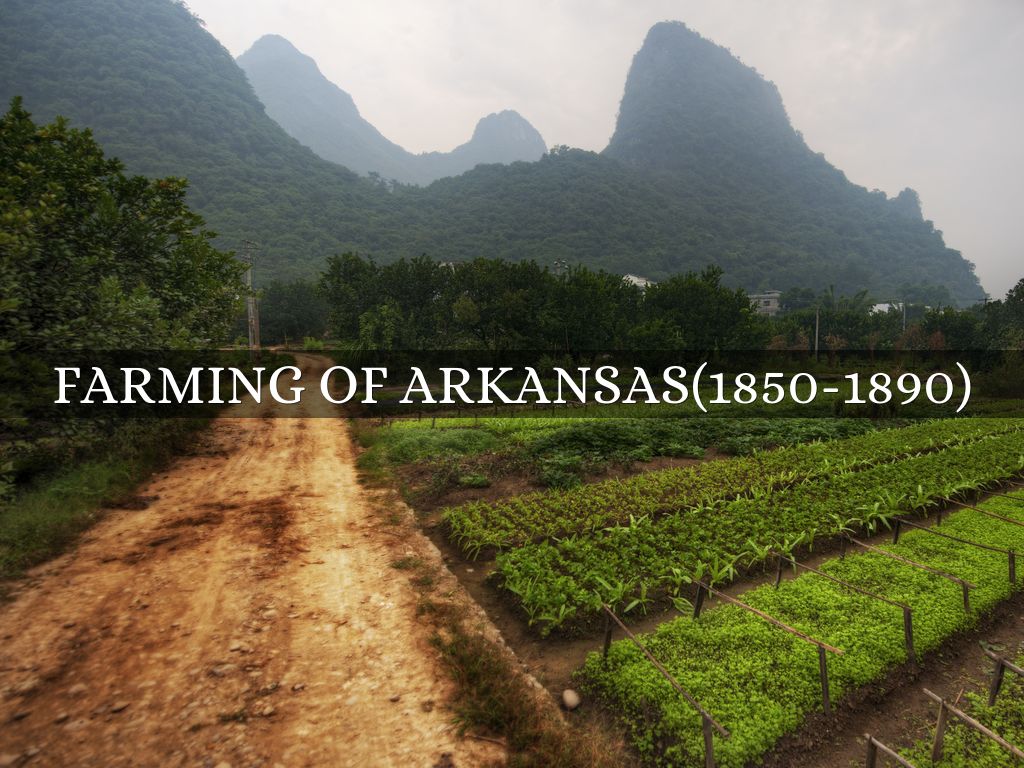 farming of arkansas(18501890) by dylan.tate