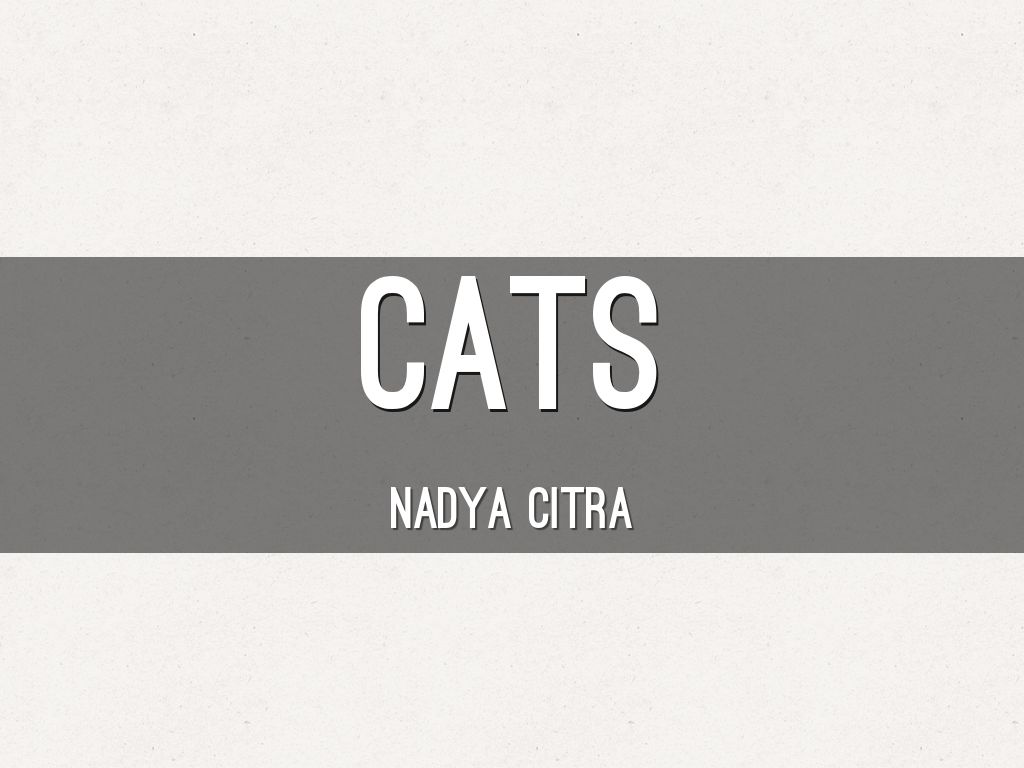 Cats