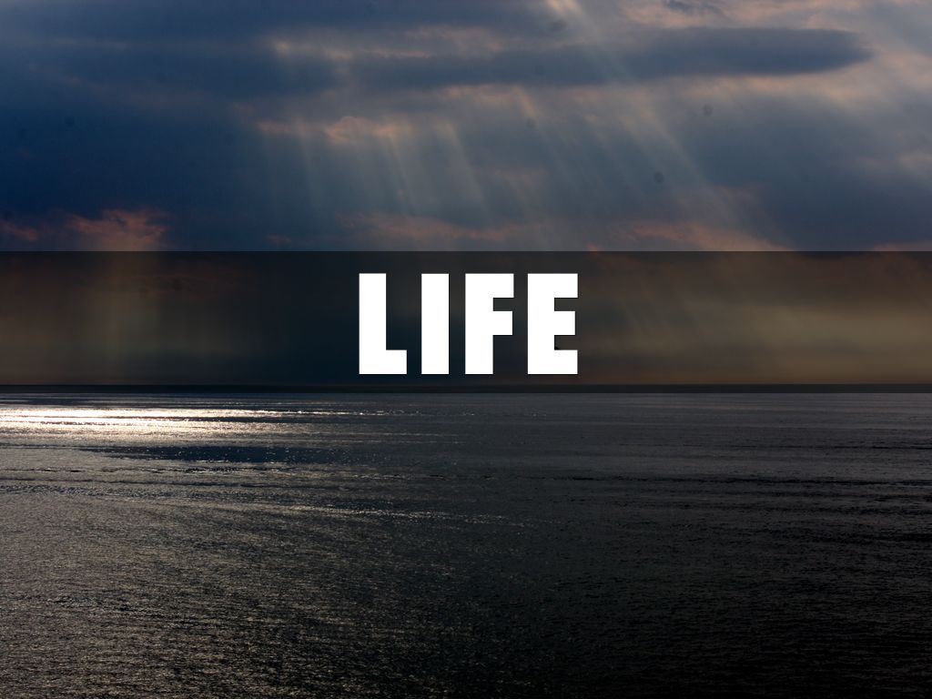 lIFE