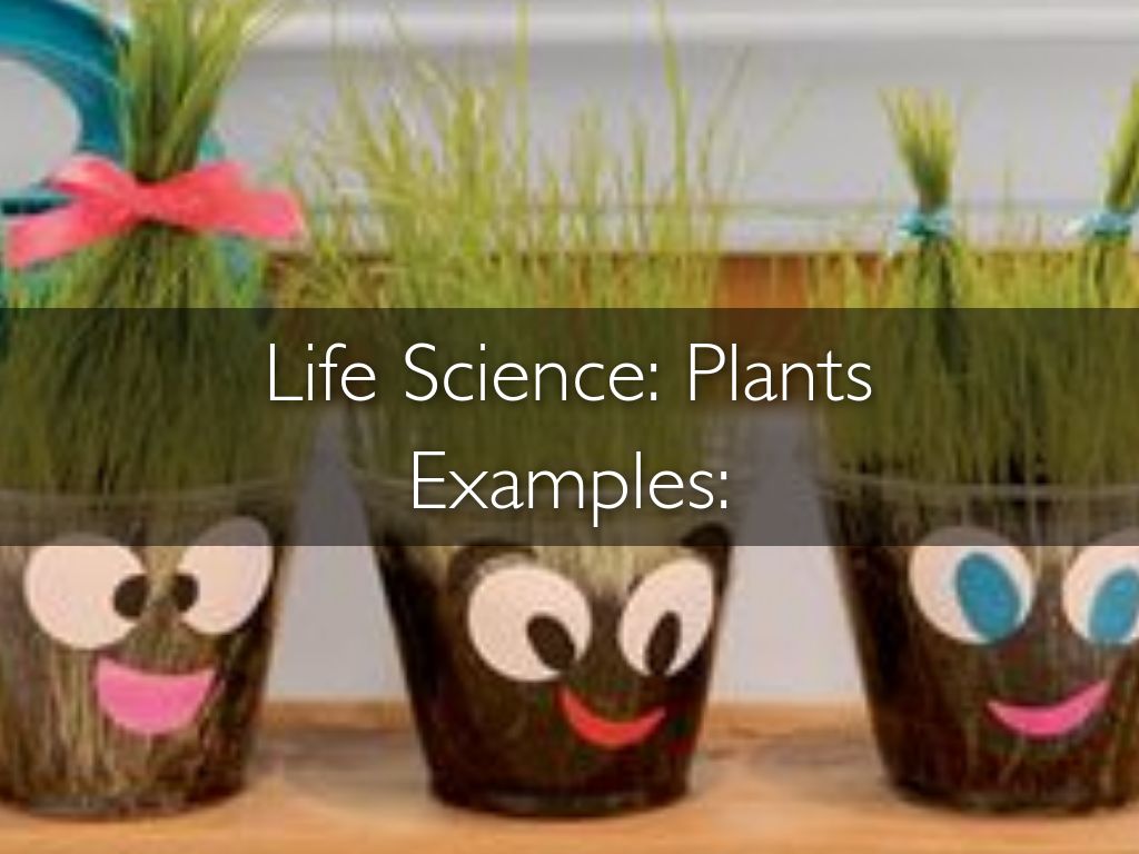 Science Content by Alexis Gill