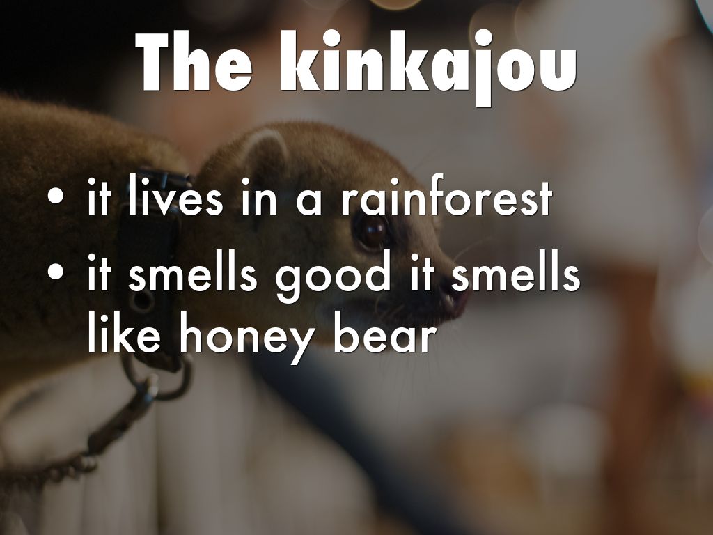 stinky animals and plants by usuario.32.2