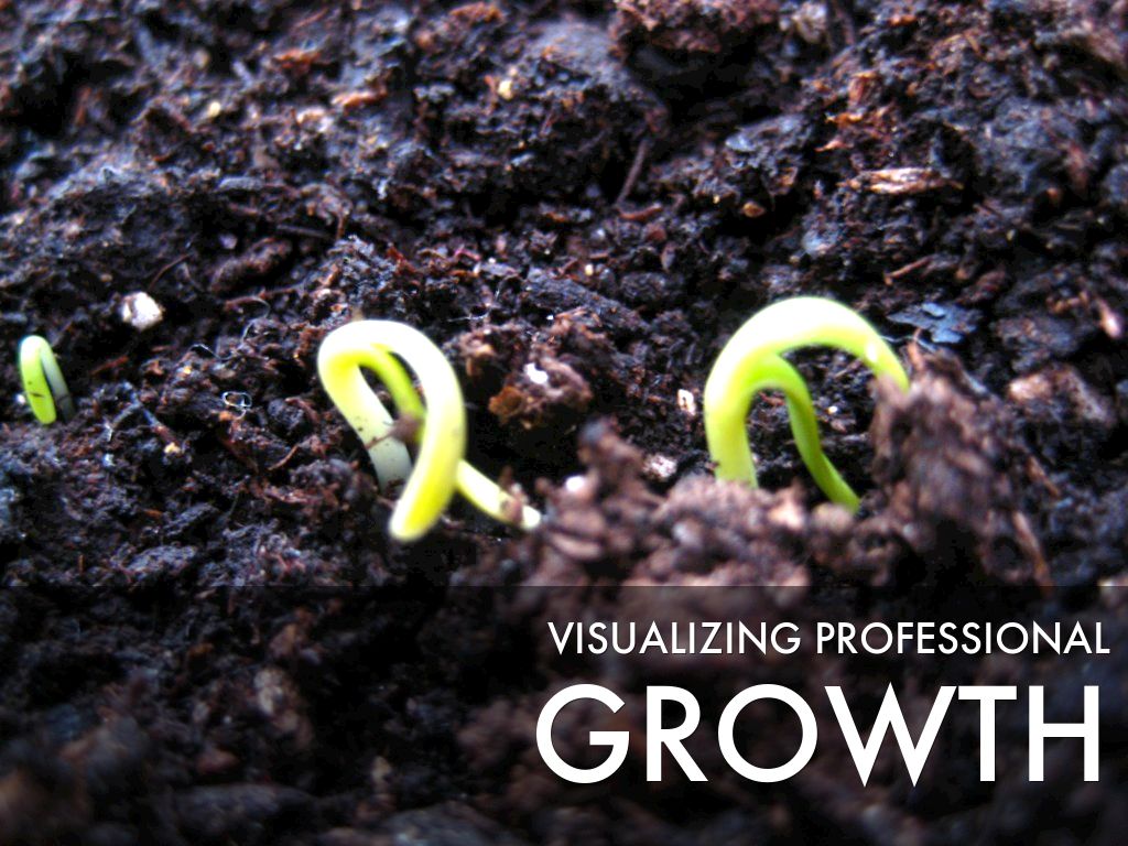 Visualizing Professional Growth