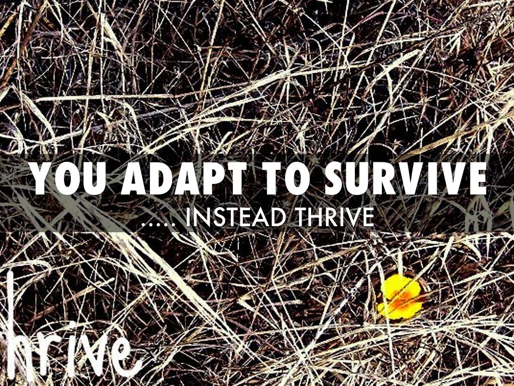 You Adapt to Survive