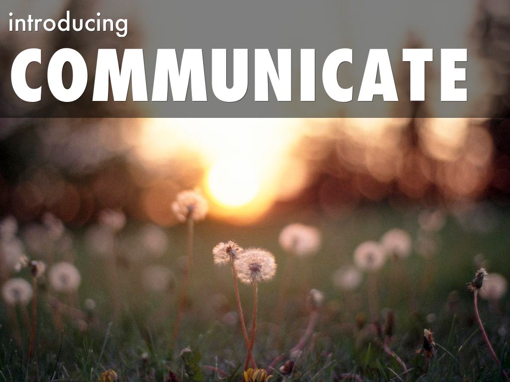 communicate