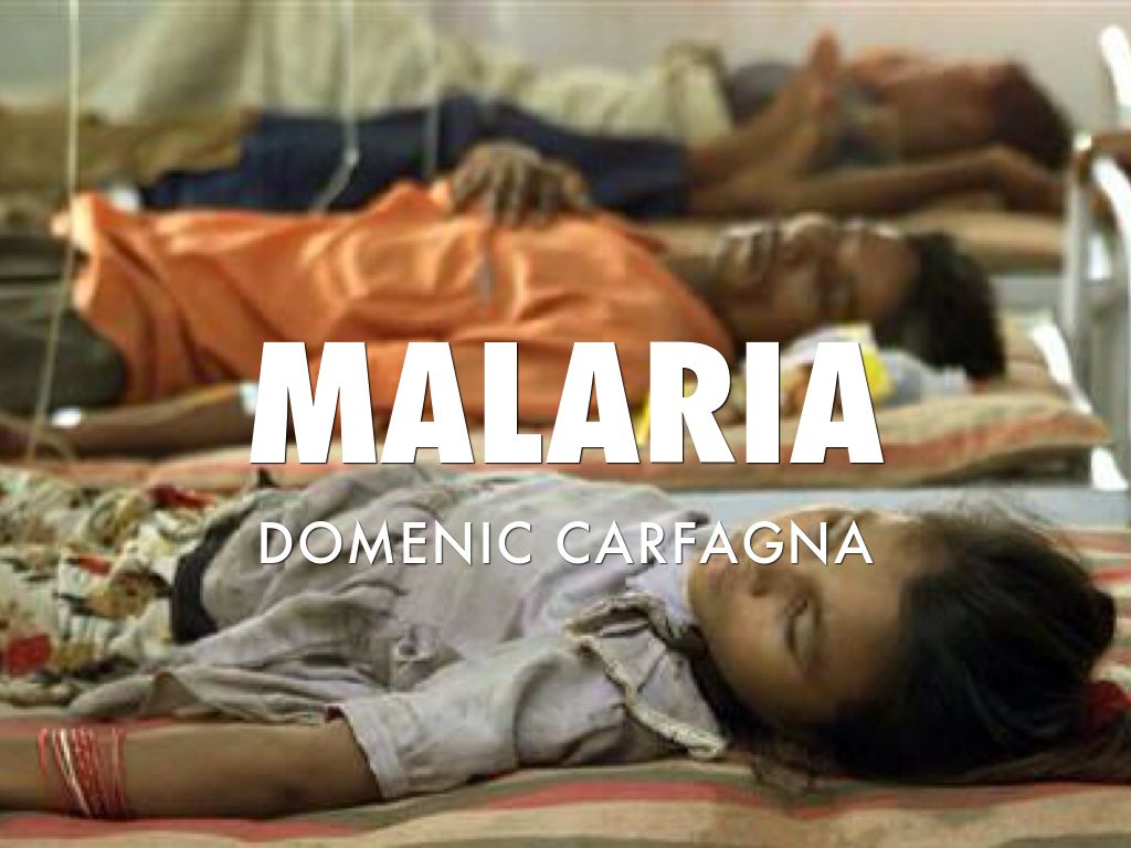 Malaria 