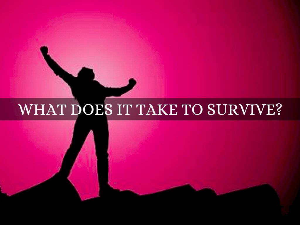 What does it take to survive?