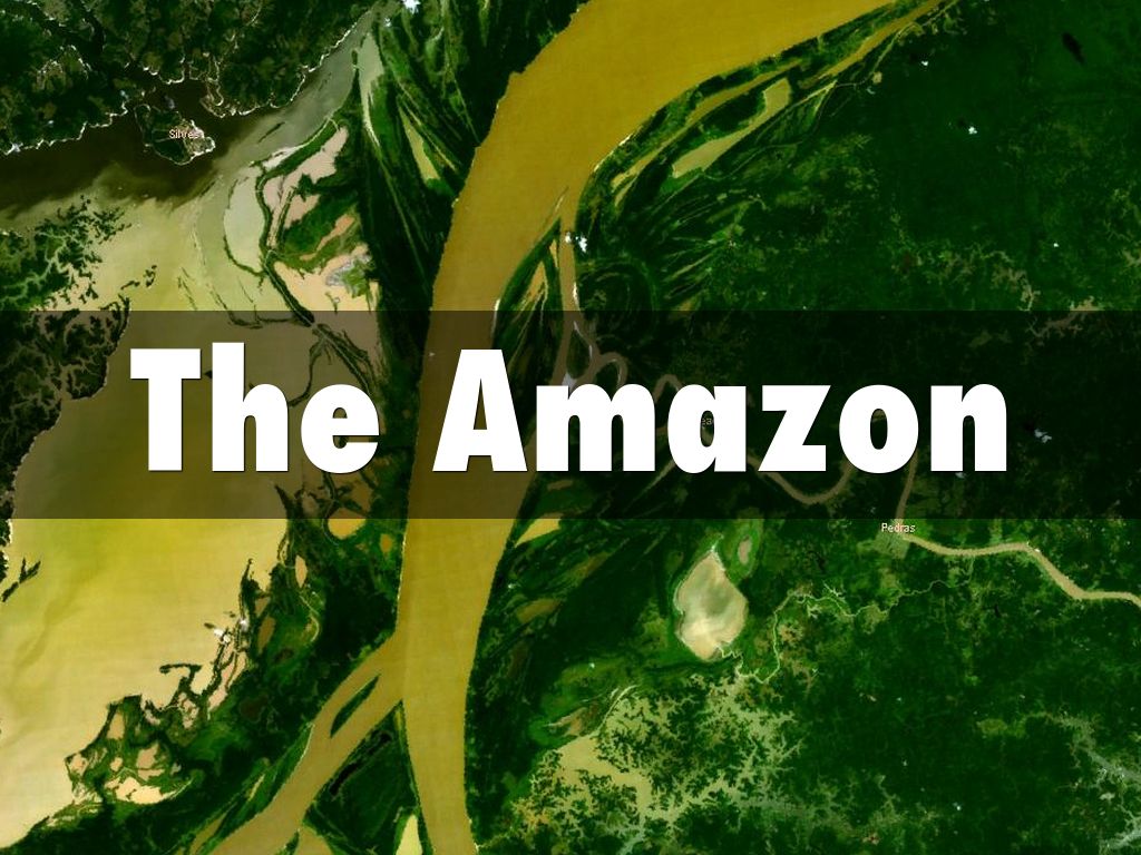 The Amazon