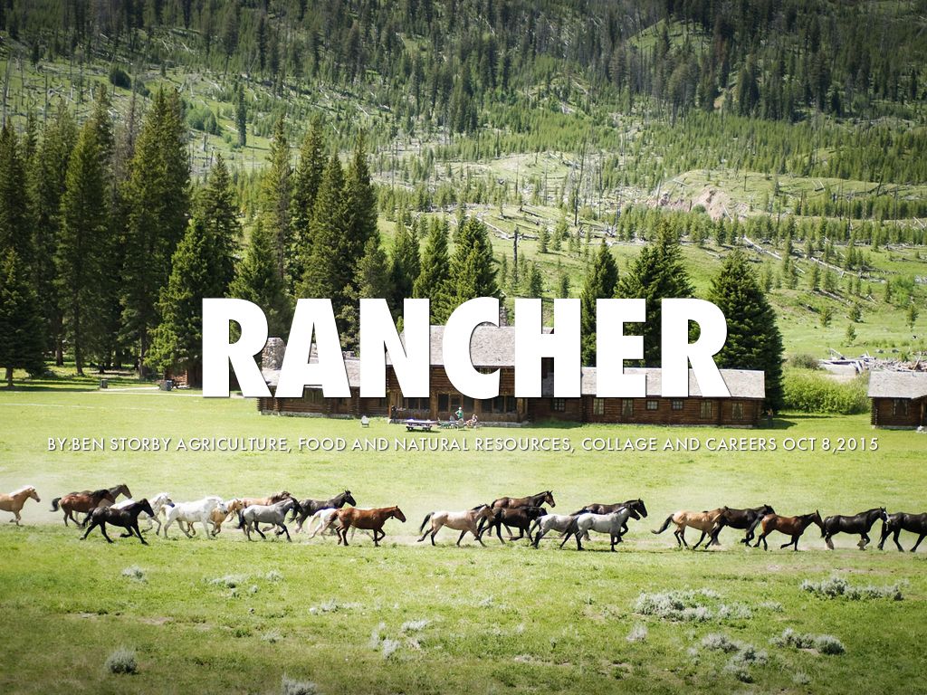 Rancher by Ben Storby