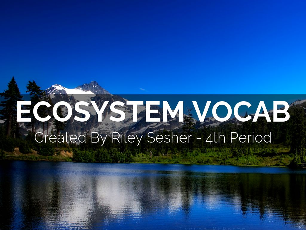 Ecosystem Vocab by riley.sesher