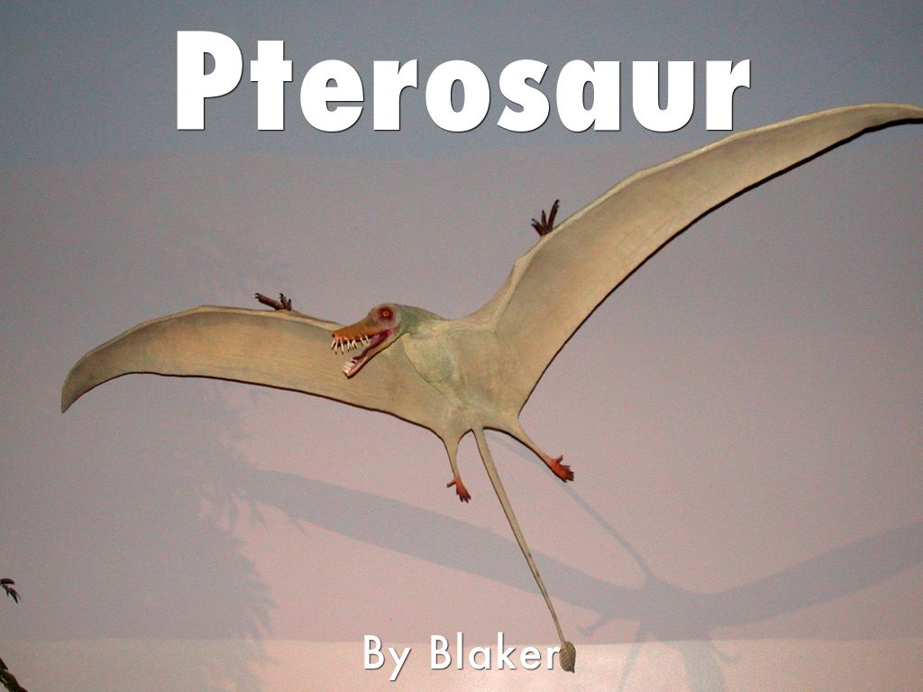 Pterosaur