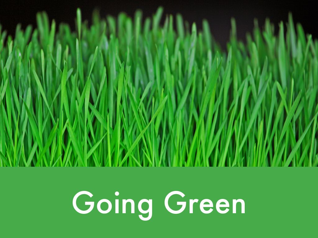 A problem with Forestview