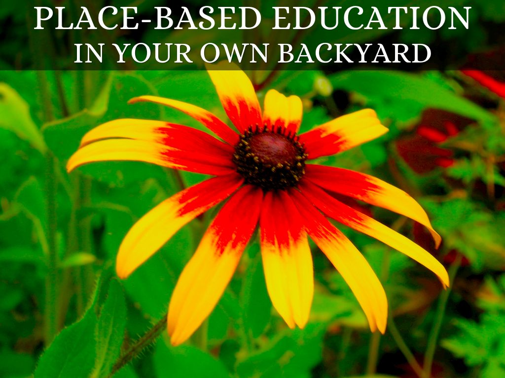 Place-based Education in Your Own Backyard