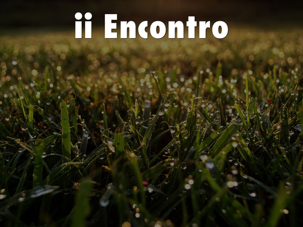 II Encontro CCAM AMP