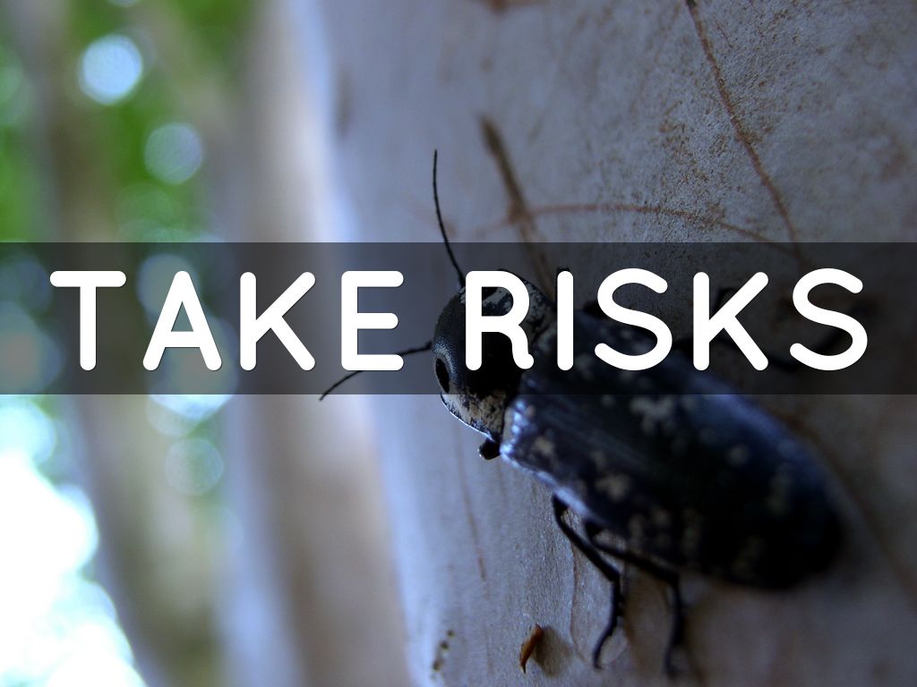 take risks