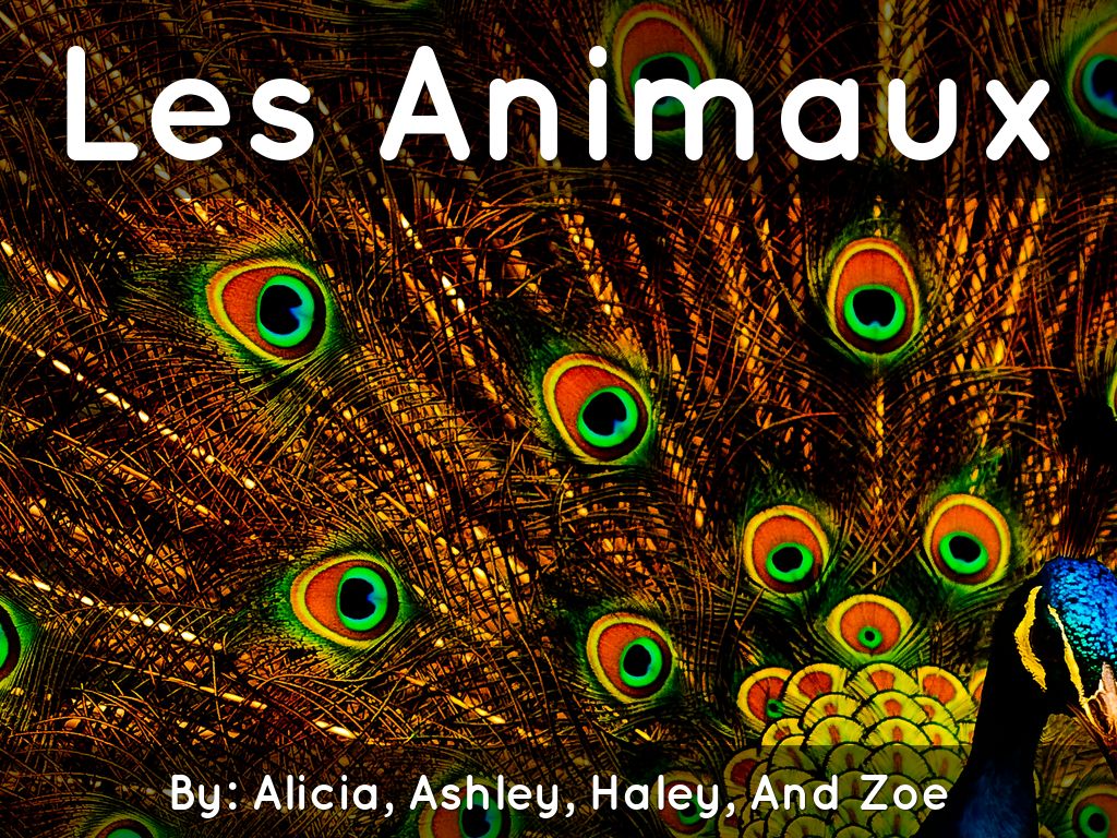 Les Animaux part2