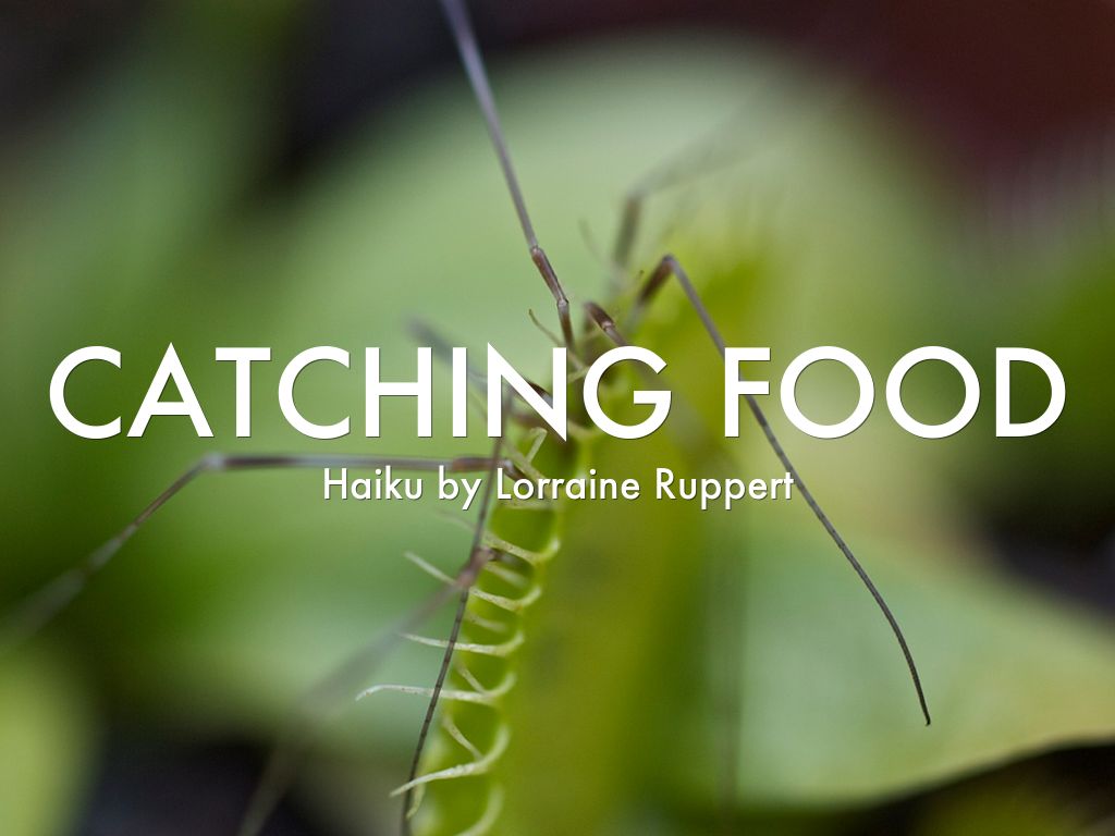 catching food by ldrn5