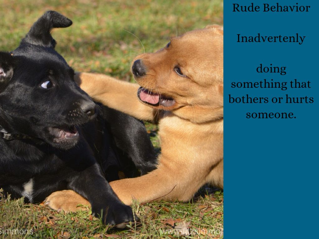 Pics Rough Behaviour Ages And Stages by Kathy Severson