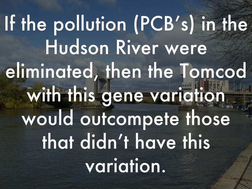 an analysis of the hudson river and pcb pollution What’s being done to address the contamination in february 2002, the epa issued a record of decision (rod) for the hudson river pcbs superfund site that called for targeted environmental dredging of approximately 265 million cubic yards of pcb-contaminated sediment from a 40-mile section of the upper hudson river from fort edward to troy, ny. an analysis of the hudson river and pcb pollution What’s being done to address the contamination in february 2002, the epa issued a record of decision (rod) for the hudson river pcbs superfund site that called for targeted environmental dredging of approximately 265 million cubic yards of pcb-contaminated sediment from a 40-mile section of the upper hudson river from fort edward to troy, ny.