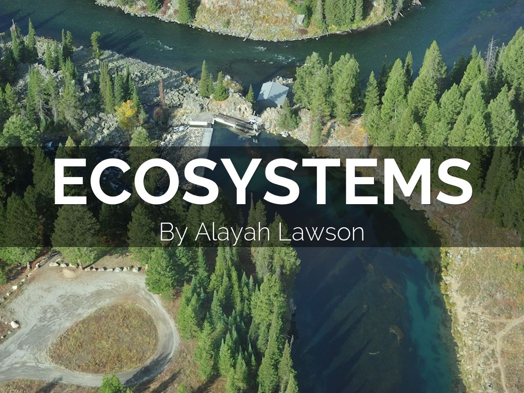 ecosystems