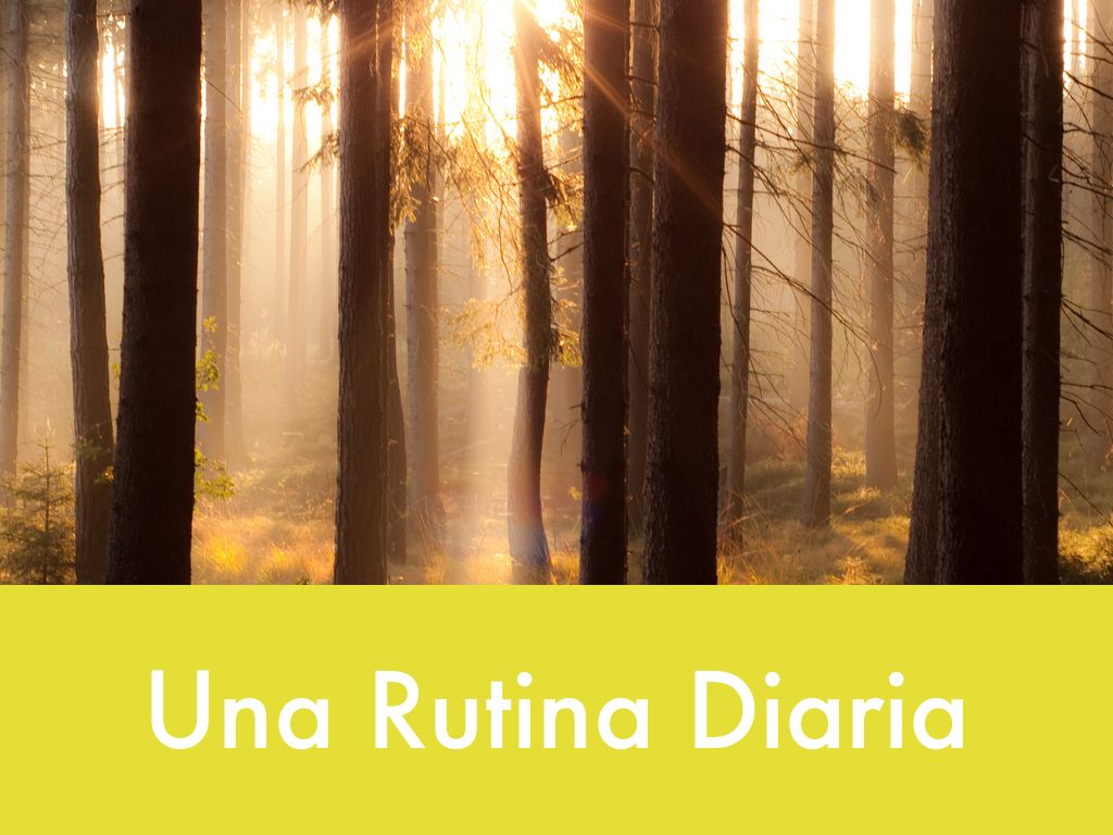 Una Rutina Diaria