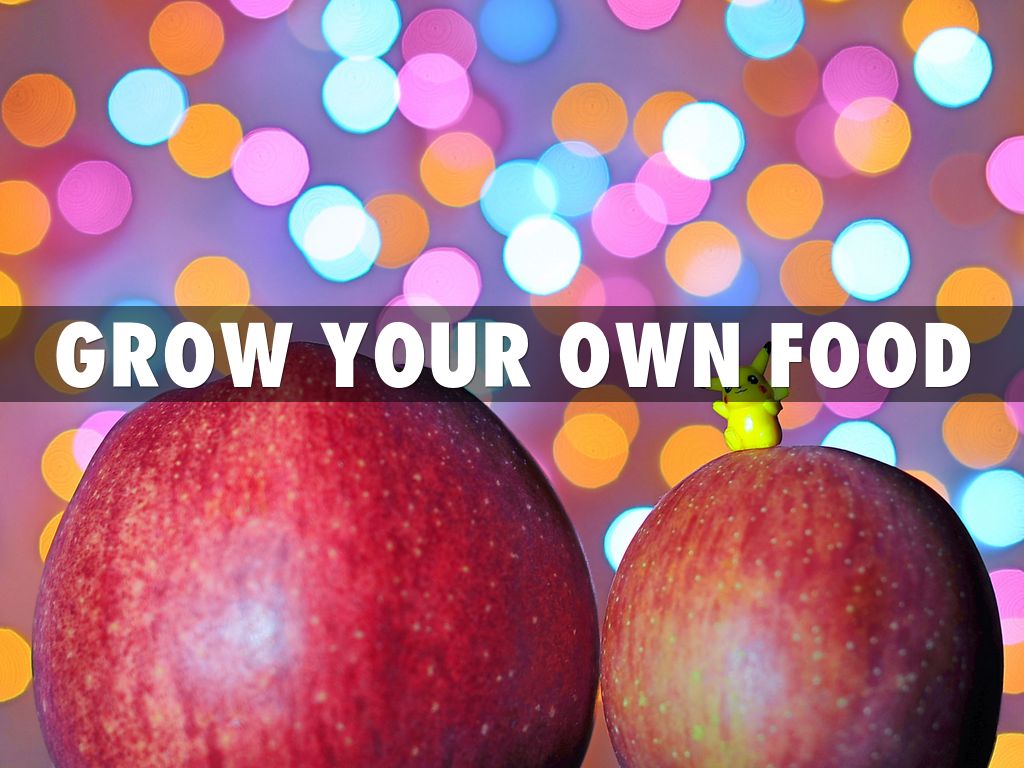 Grow your own food